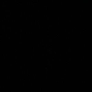 Meet your Posher, Simone